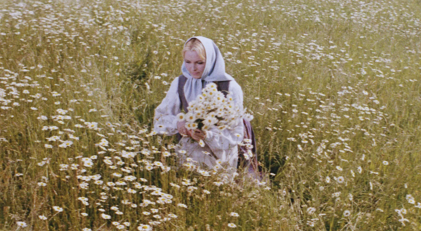 "Времена землемеров"