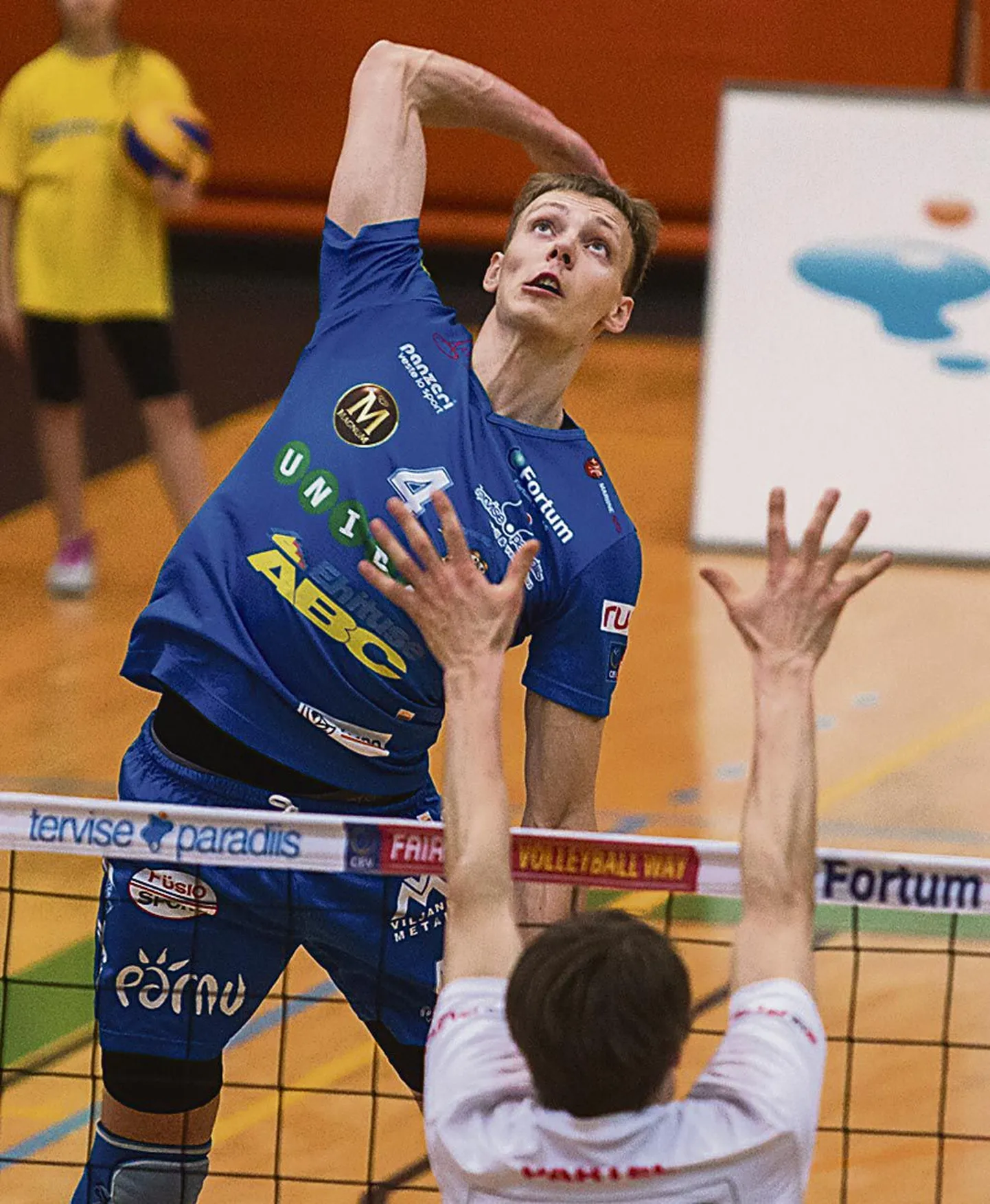 Timo Tammemaa
