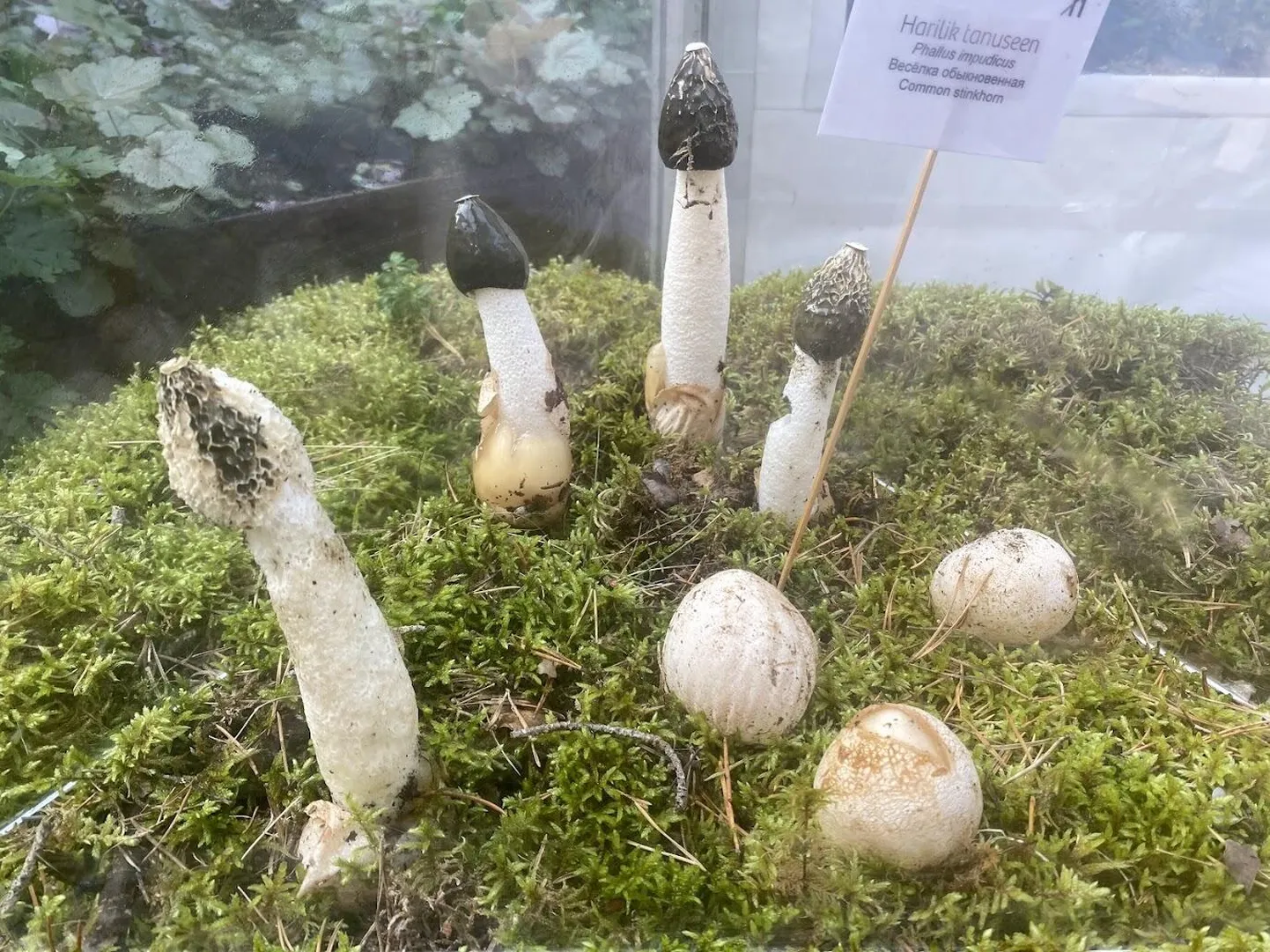 Фото статьи