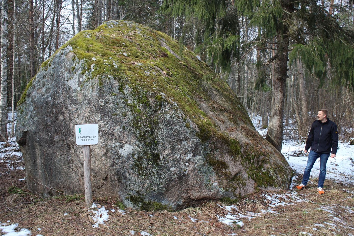 Eduard Vainu Saadumetsa suurkivi juures, mis on ühtlasi tema suguvõsa maade nurgakiviks Käsmu külas.