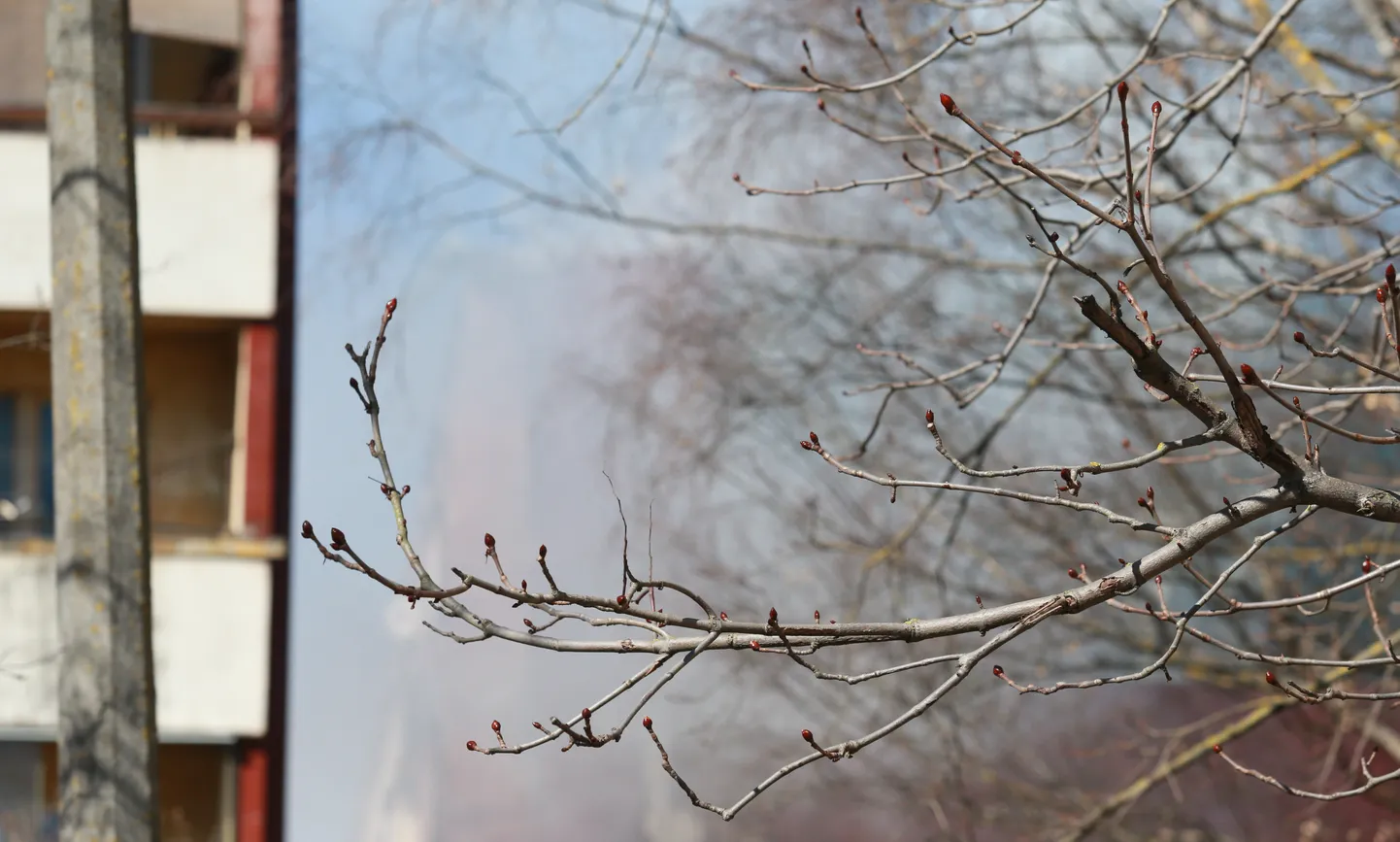TRT03: ANNELINNAS PÕLES KORTERMAJA SEIN :TARTU, EESTI, 11APR18- 
Täna päeval läks  Annelinnas Uus 63 kortermaja sein põlema.
kt/Foto KRISTJAN TEEDEMA TARTU POSTIMEES