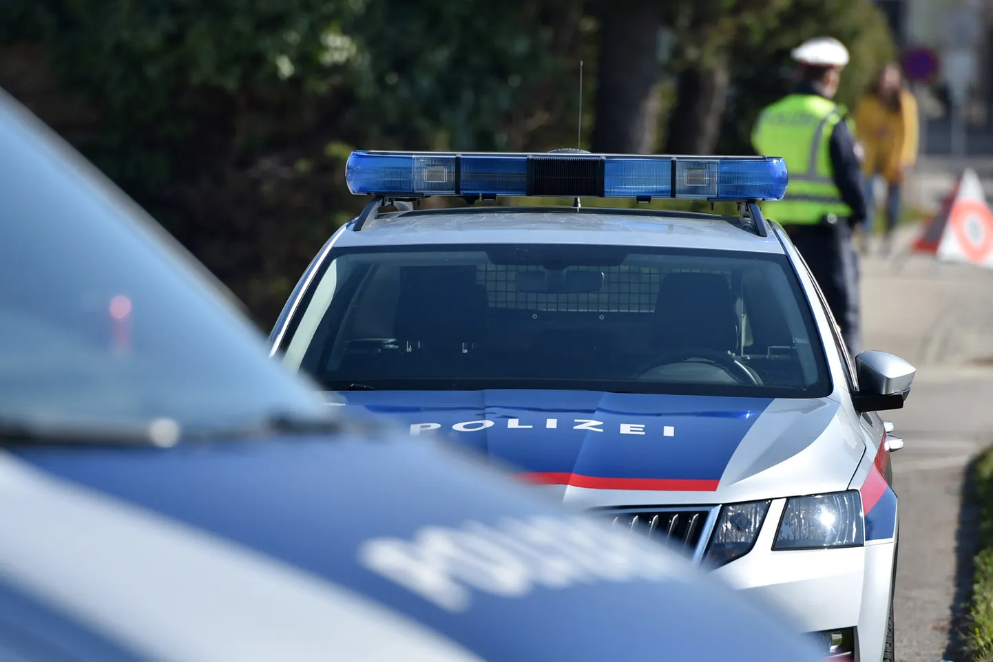 Raksta foto