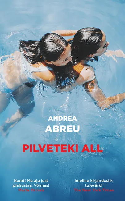 Andrea Abreu, «Pilveteki all».