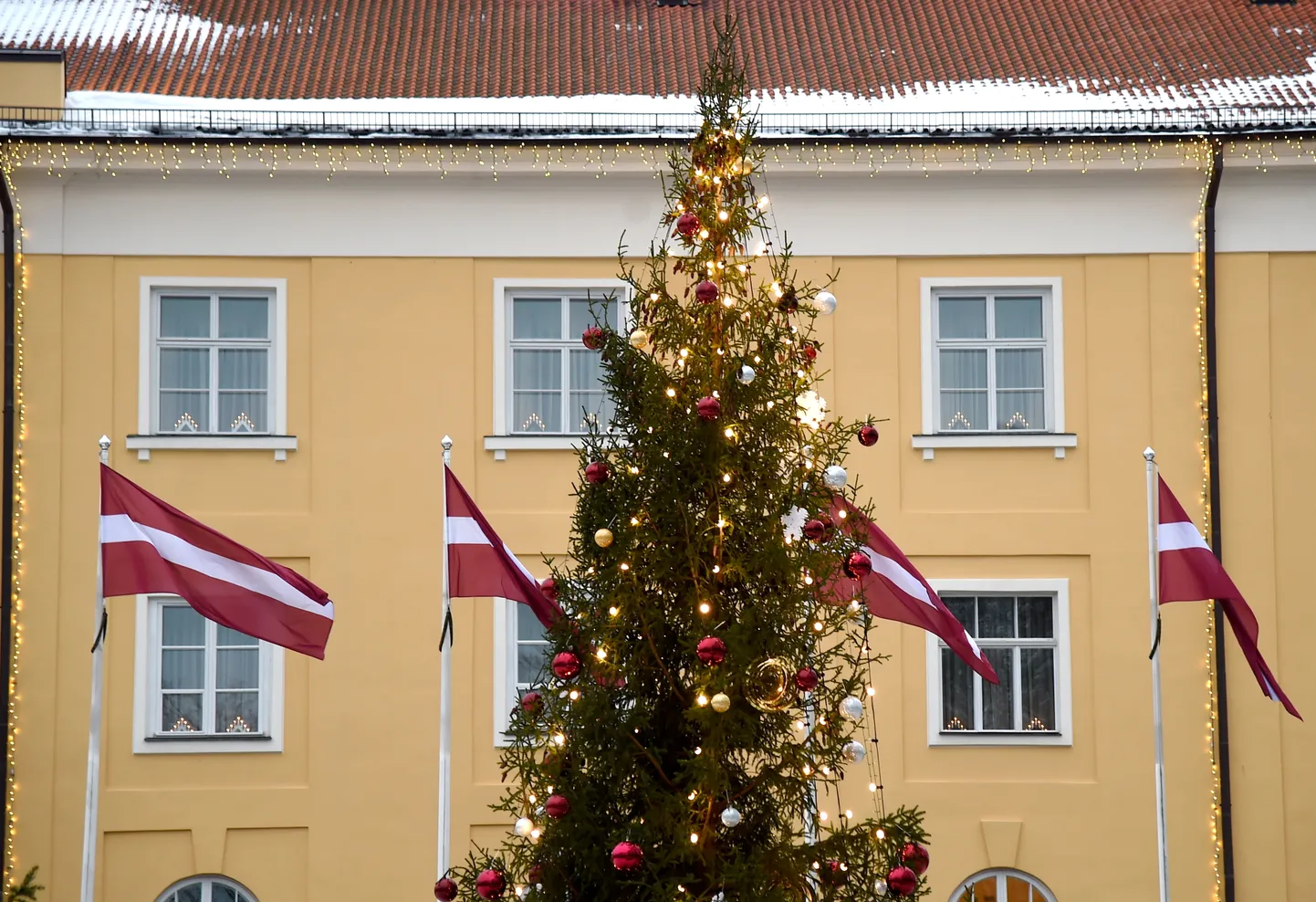 Ziemassvētku egle pie Rīgas pils.