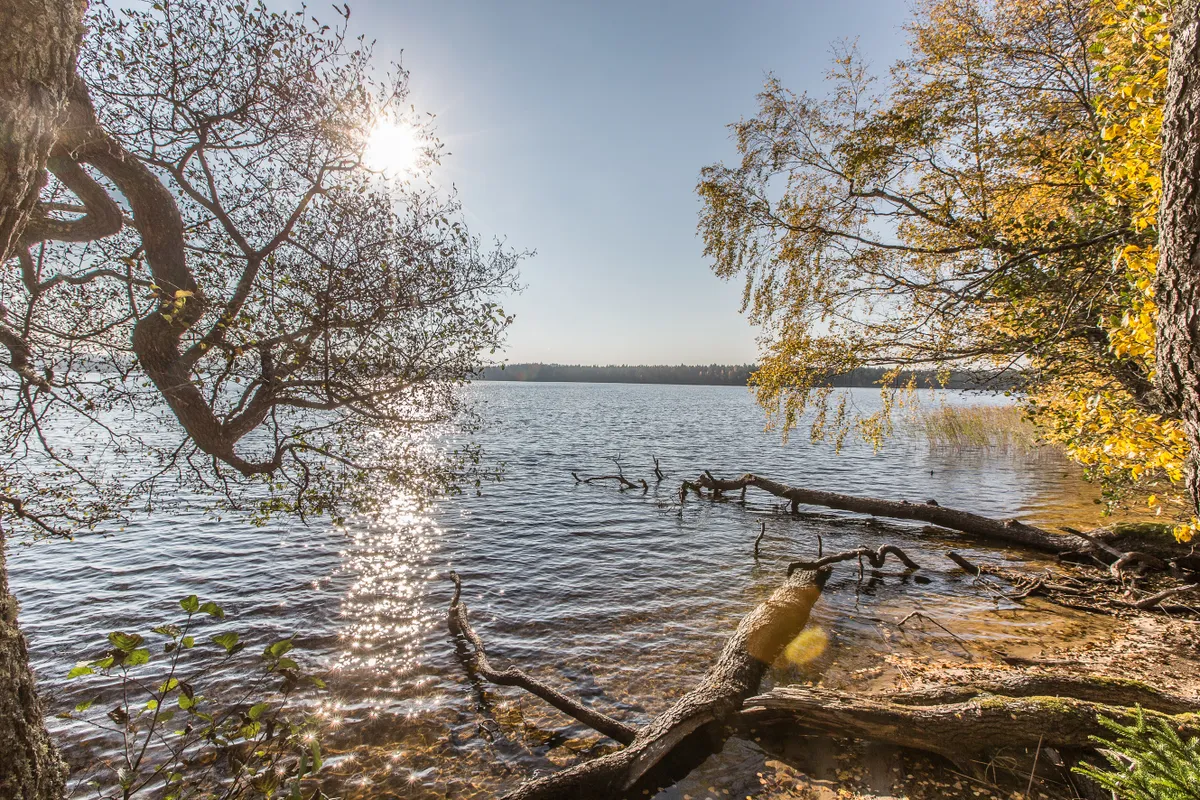 Uljaste järve matkarada.