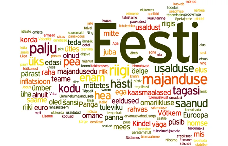 Ilvese uusaastatervitus 2007. aasta lõpus.