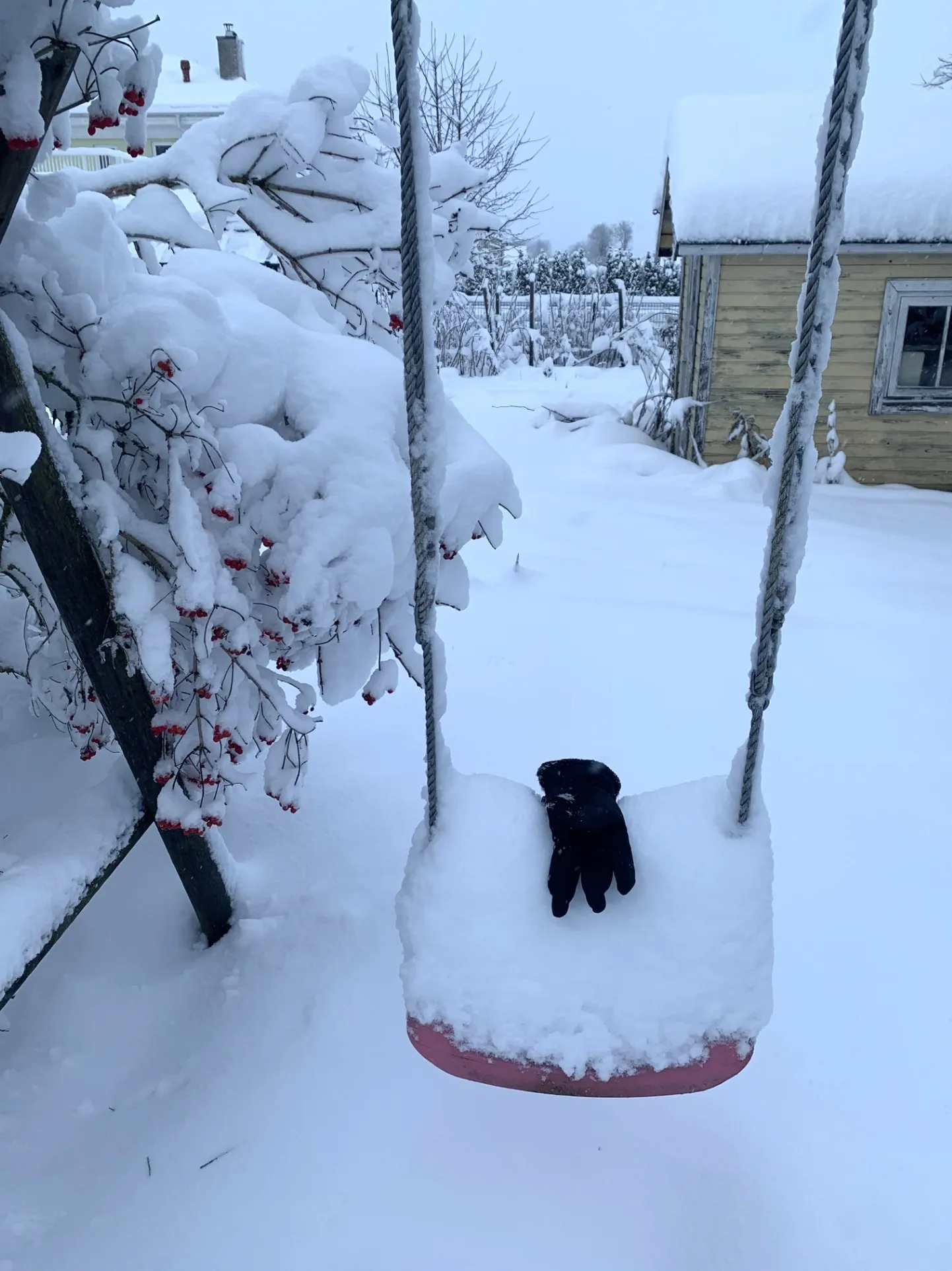 Lodjapuu kummardas maani.