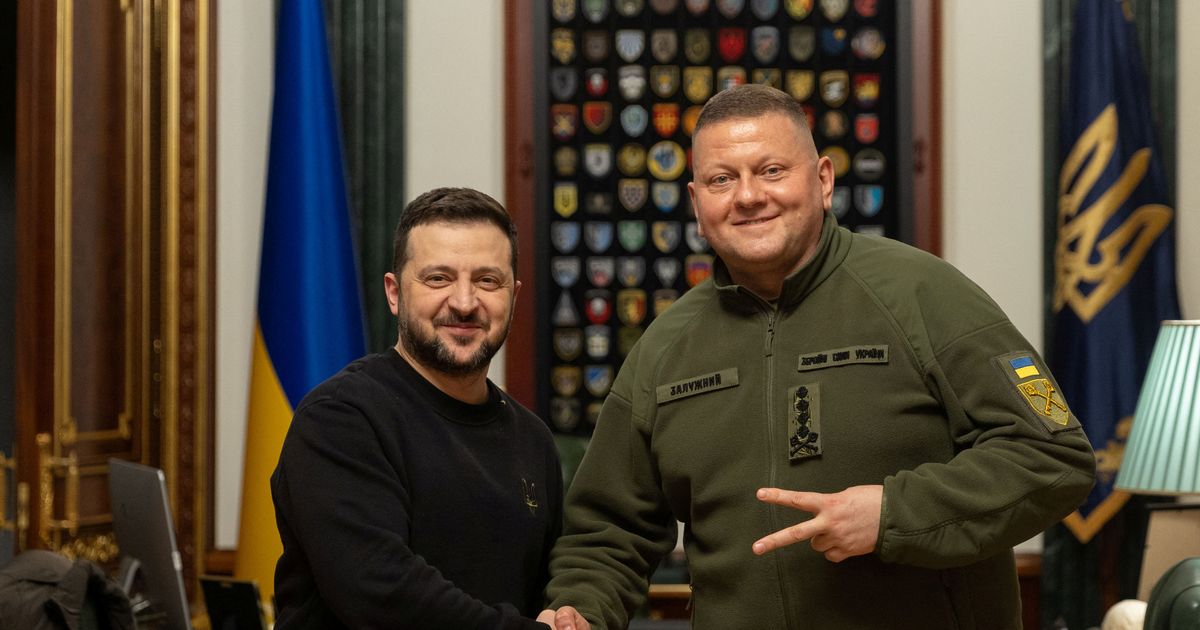 Ukraina relvajõudude ülem Zalužnõi vabastati ametist