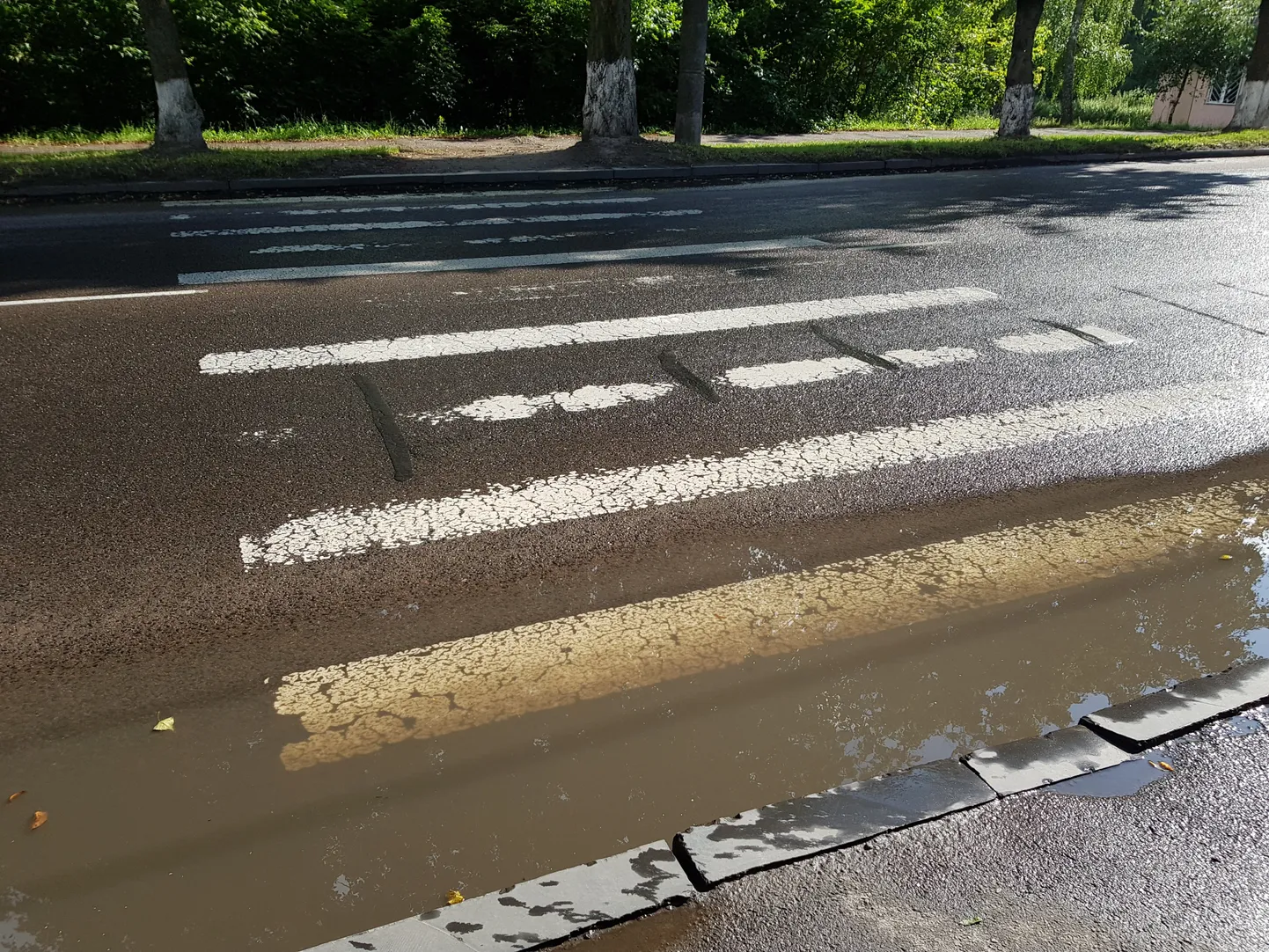 Raksta foto