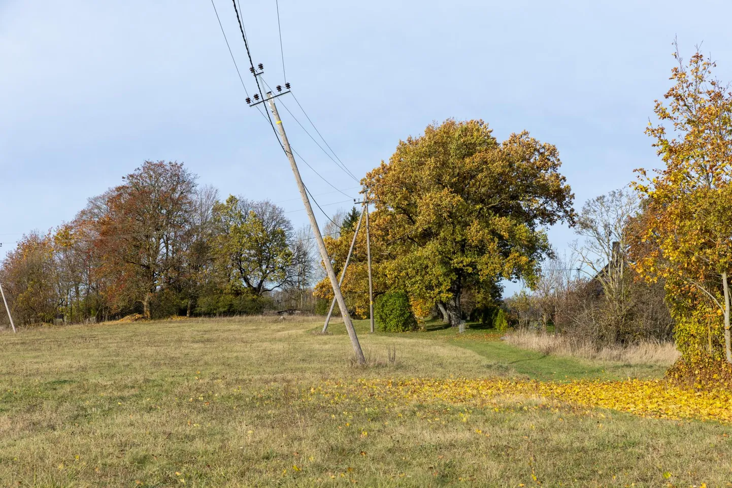 Koovälja külas ripub elektripost kaablite küljes juba mõnda aega ega toeta kaableid.