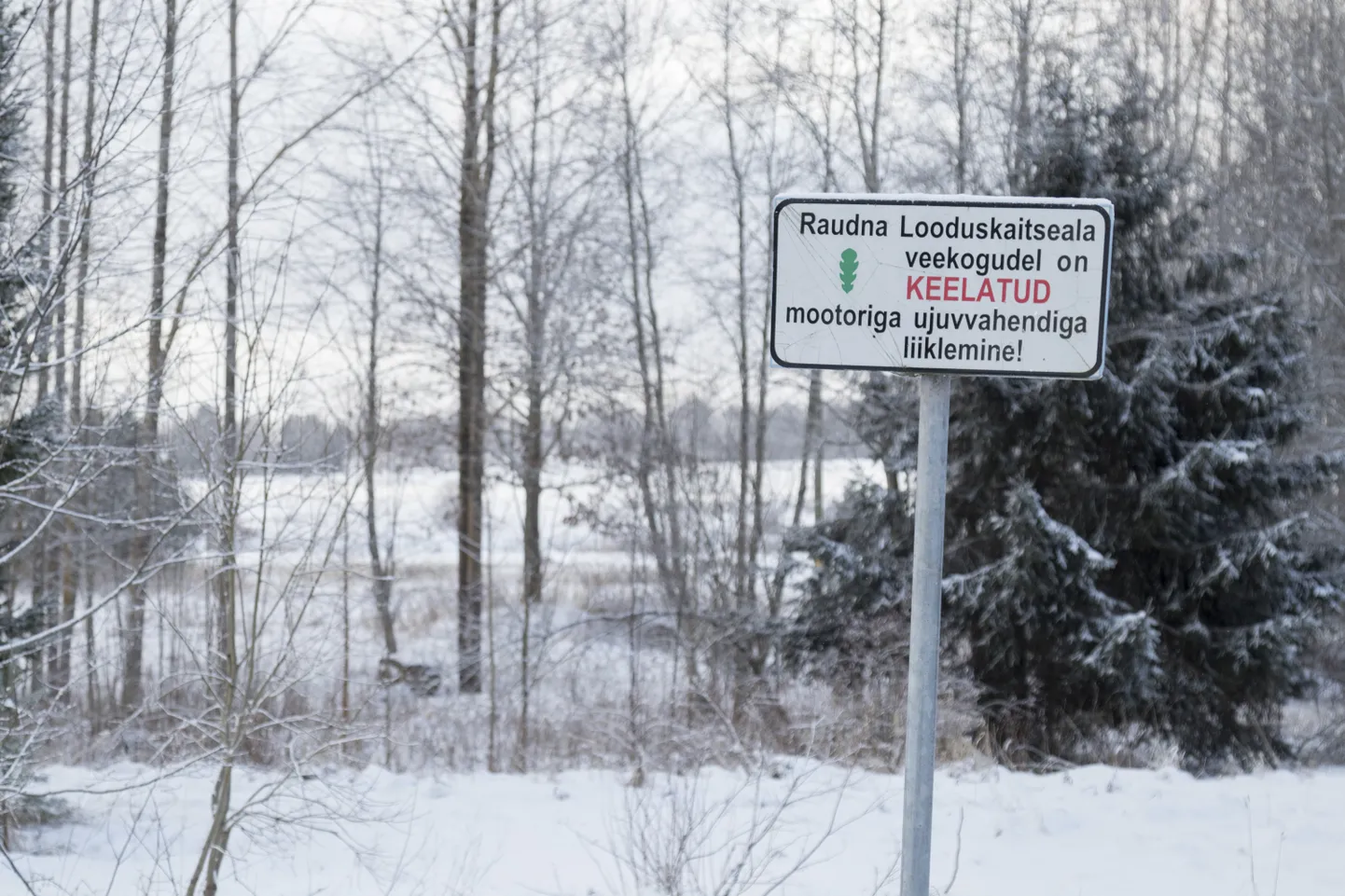 Raudna looduskaitseala saatuse kohta langetab lõpliku otsuse keskkonnaminister.