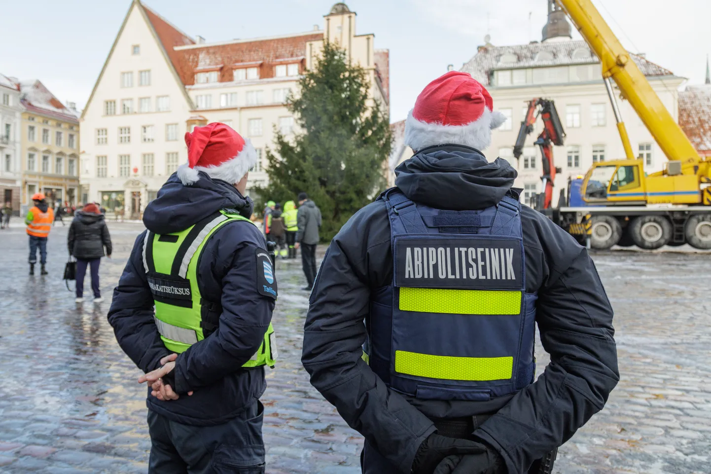 Eelmisel aastal toodi jõulukuusk Tallinna Raekoja platsile Paekna külast.