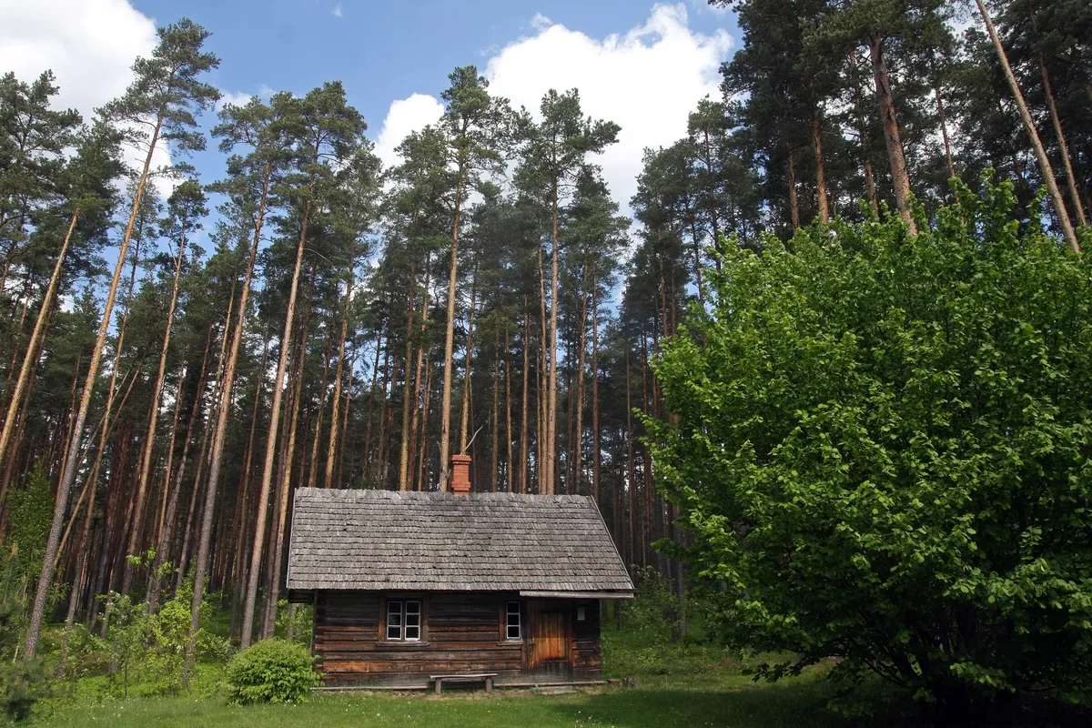 Pirts ēka no Valkas rajona Vidagas "Ilgumiem" Latvijas Etnogrāfiskā brīvdabas muzeja Vidzemes novada ekspozīcijā.