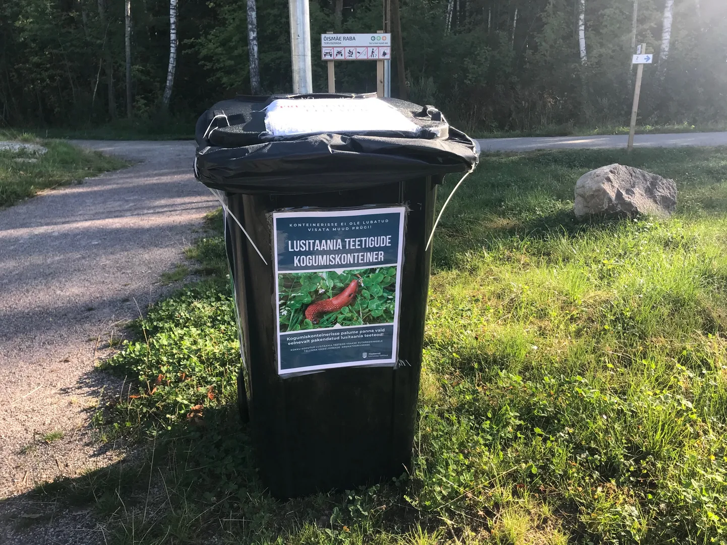 Hiidnälkjate kogumiskonteiner.