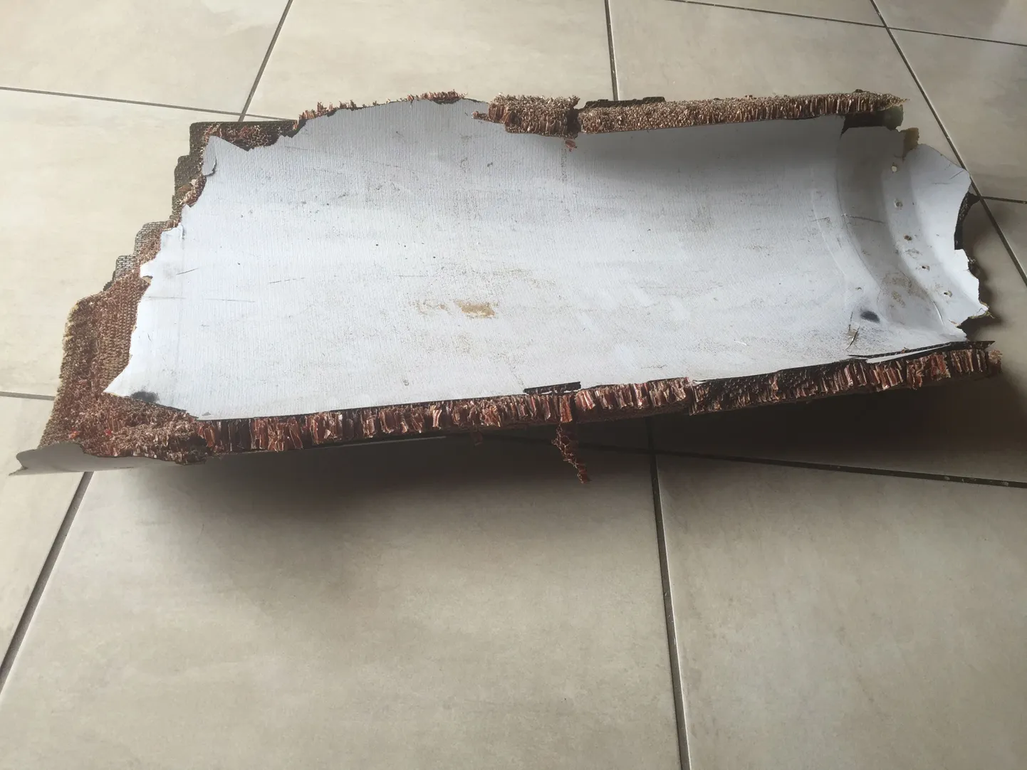 Lennukitüki leidis Mosambiigi rannikult Lõua-Aafrika pere.