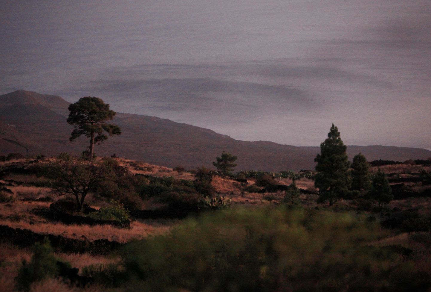 El Hierro saare lähedal merel on 12. oktoobril tehtud fotol näha pruuni laiku, mis tähistab veealuse vulkaanipurske kohta.