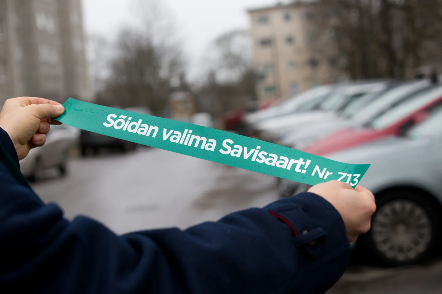 Politsei sai nende reklaamide kohta valimispäeval 17 teadet.