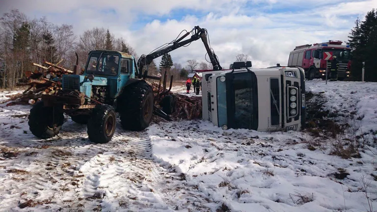 Pärnumaal sõitis palgikoormaga veoauto teelt välja. Foto: