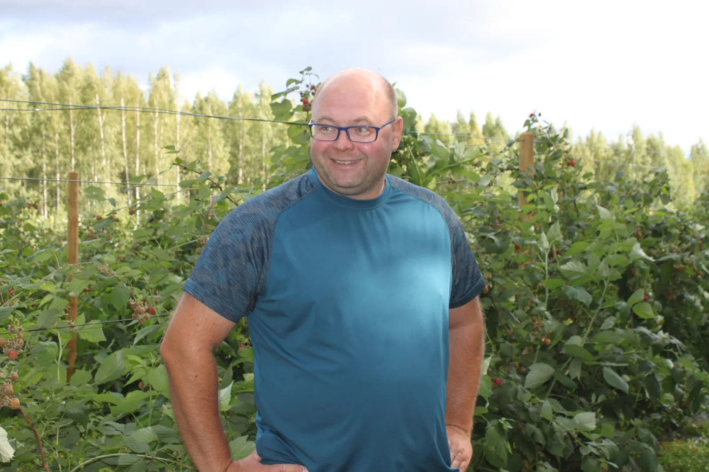 Lisaks teraviljale kasvatab Raivo Sell juba 10 aastat edukalt ka vaarikaid ja maasikaid.