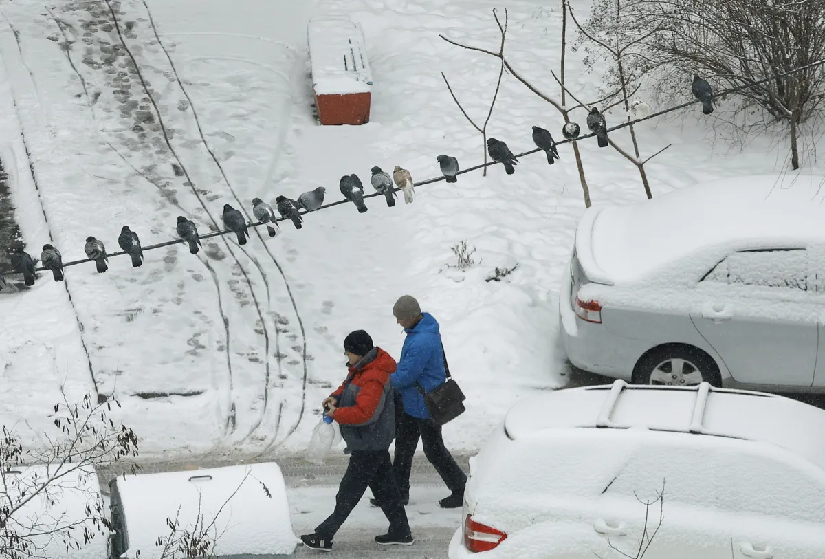 Отключения электроэнергии зимой сегодня в Киеве не редкость.