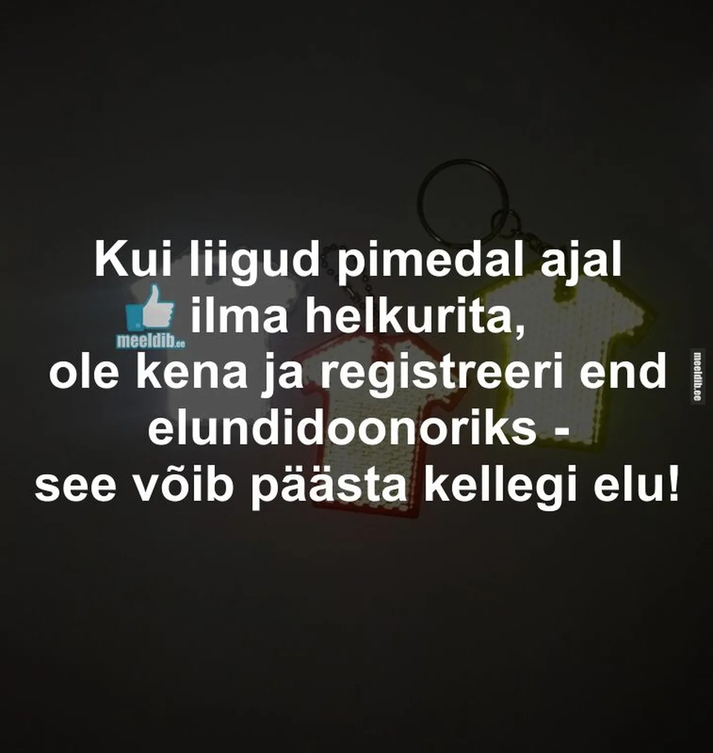 Artikli foto