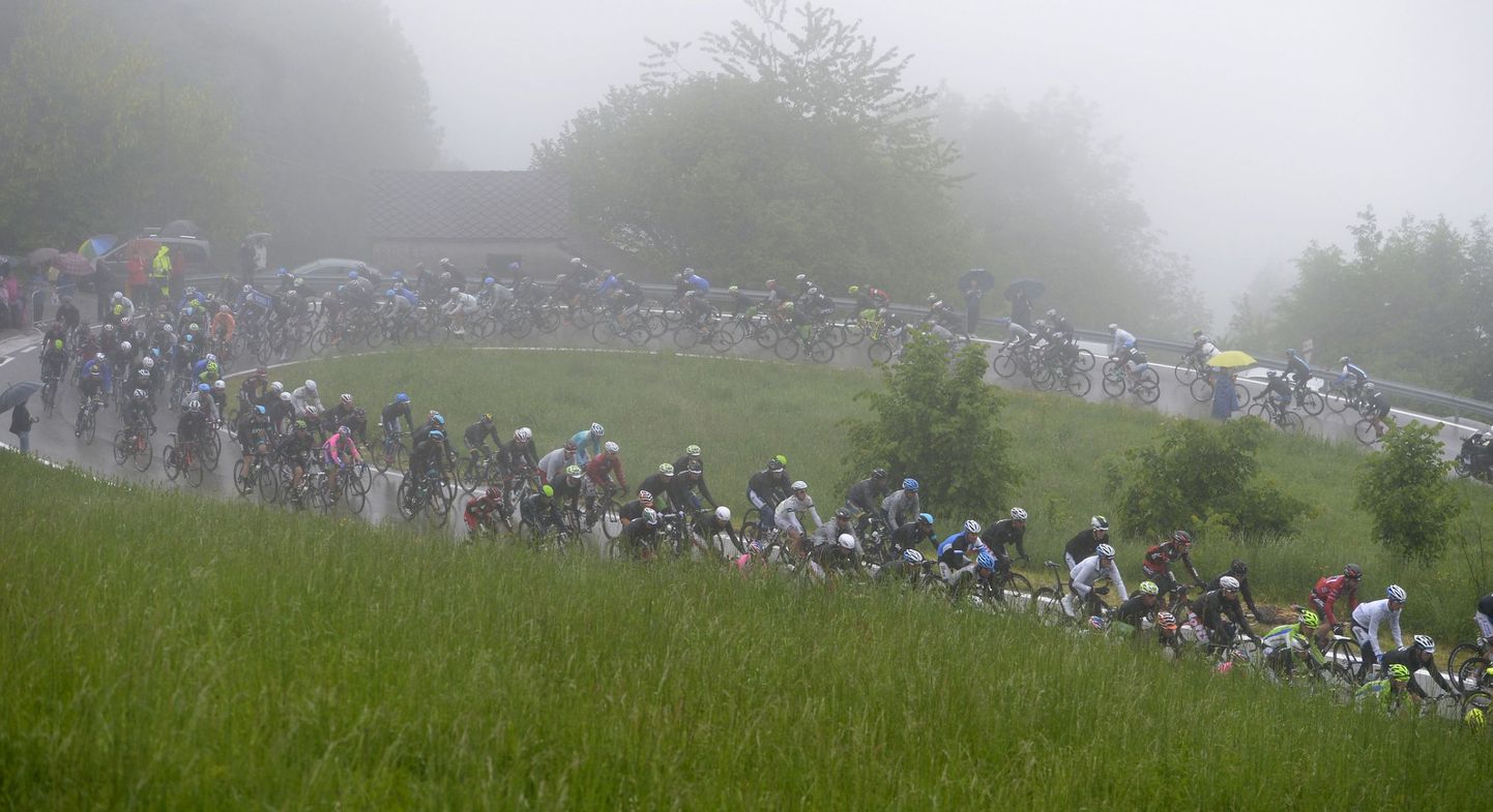 Ratturid Giro mägisel etapil.
