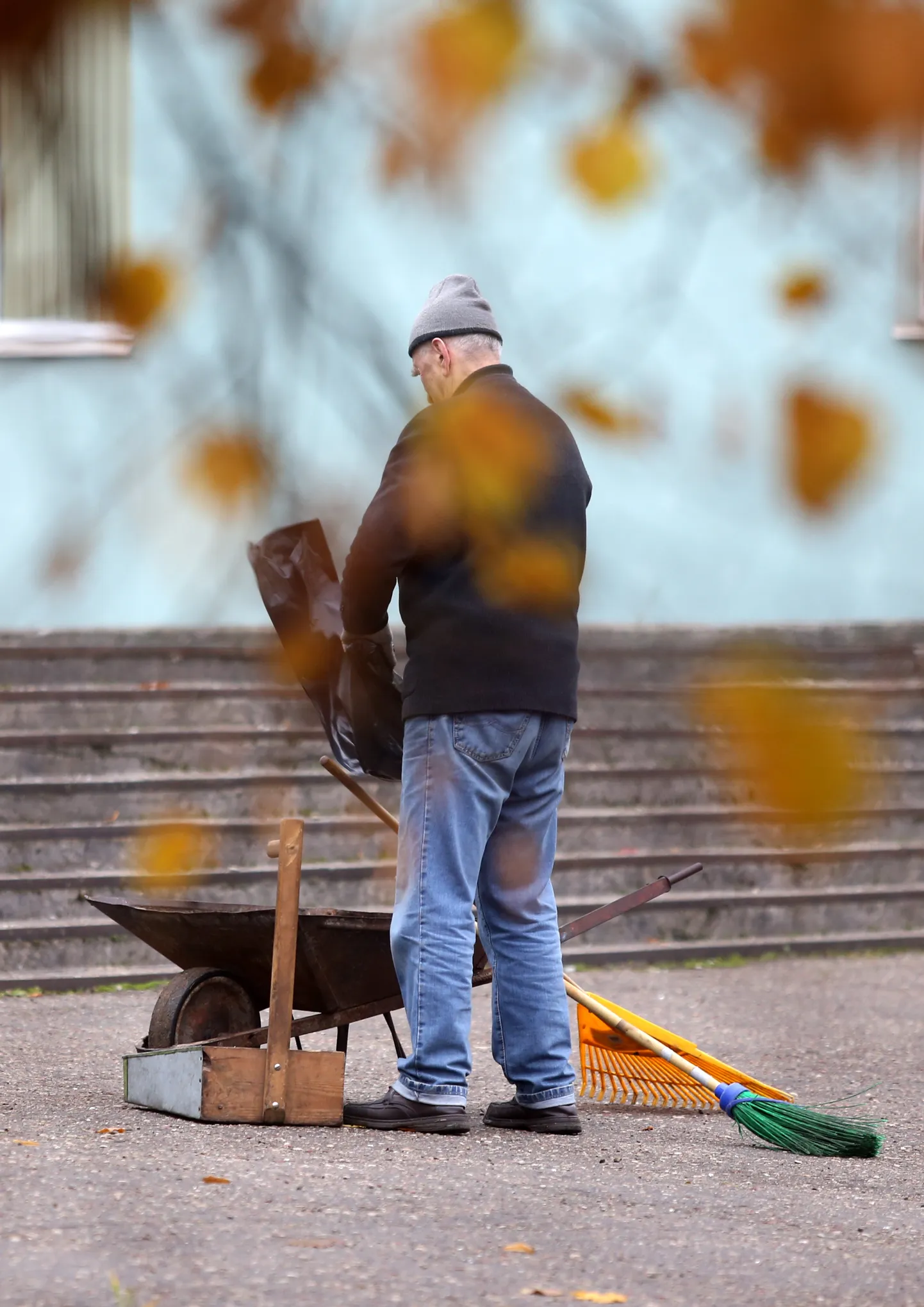 Raksta foto