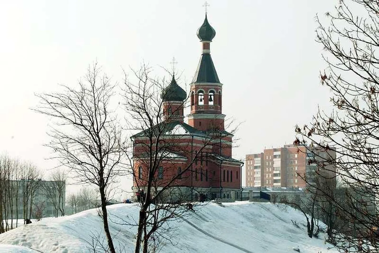 Фото статьи