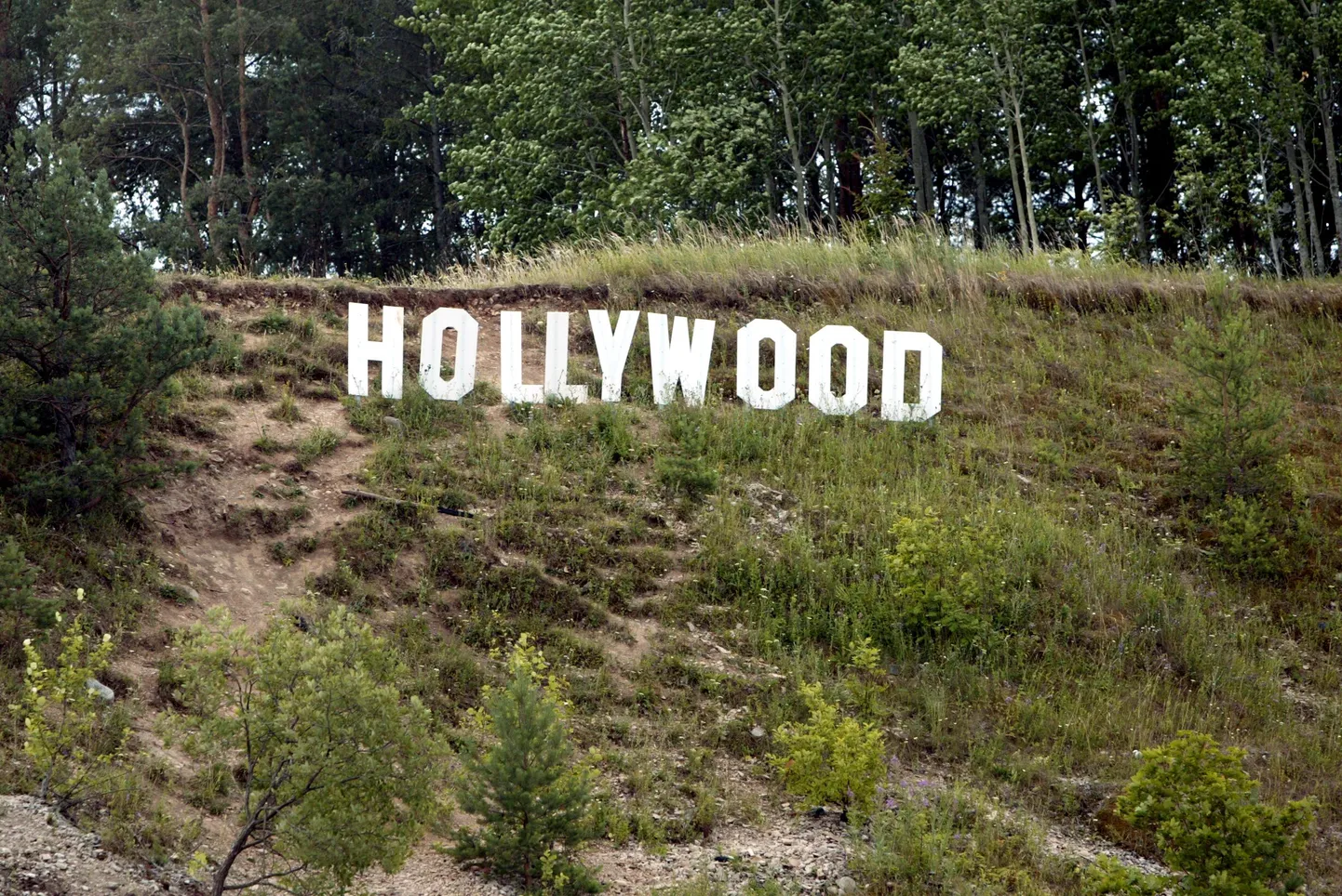 HOLLYWOOD Tallinn-
Tartu maantee ääres Laevas.