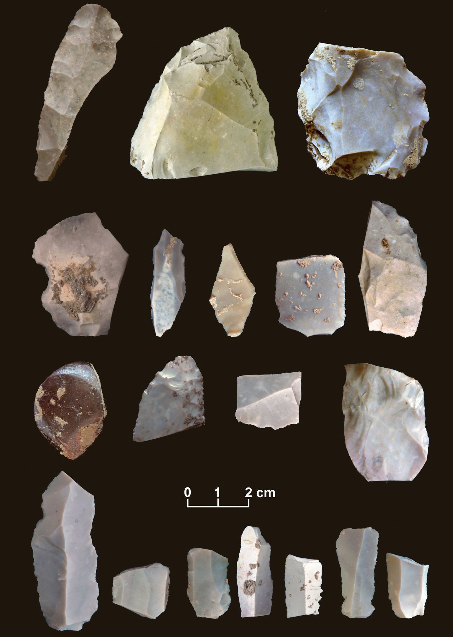 Hispaaniast leiti miljoni aasta vanused tööriistad
