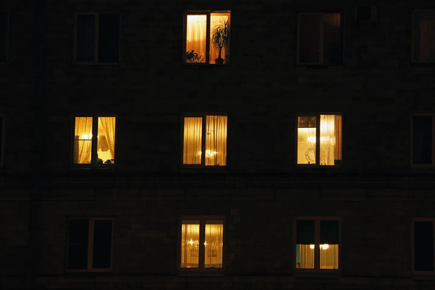 Raksta foto