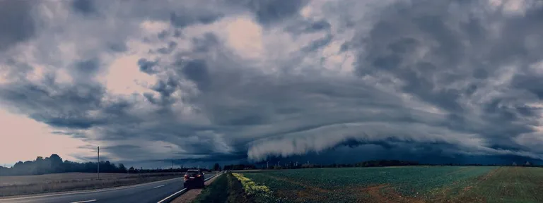 Raksta foto