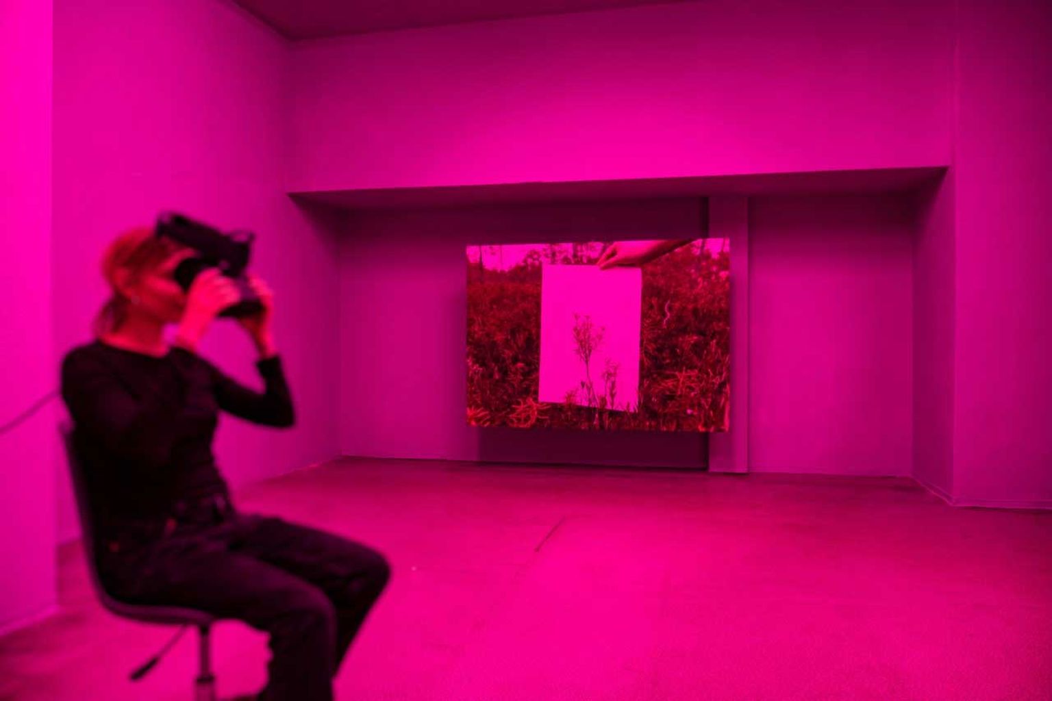 Daniela Hengsta virtuālā realitāte