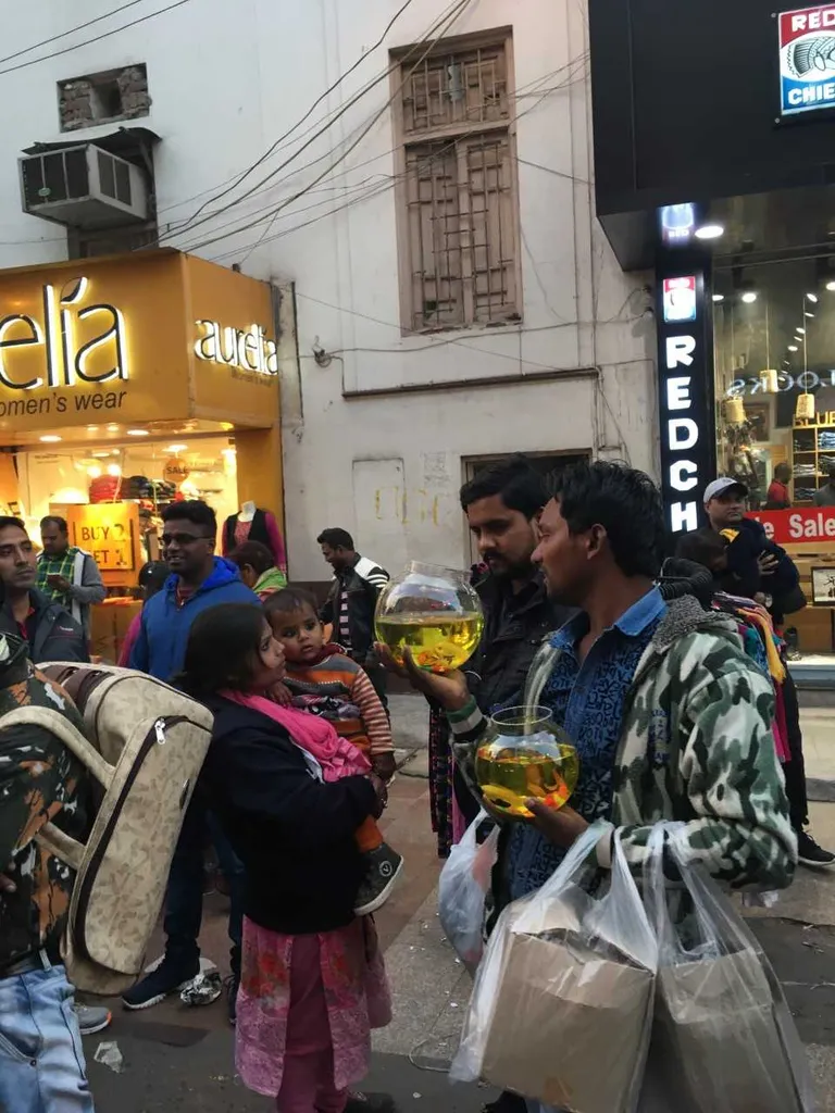 India turgudel võid haledalt petta saada või suurepärast kaupa teha.