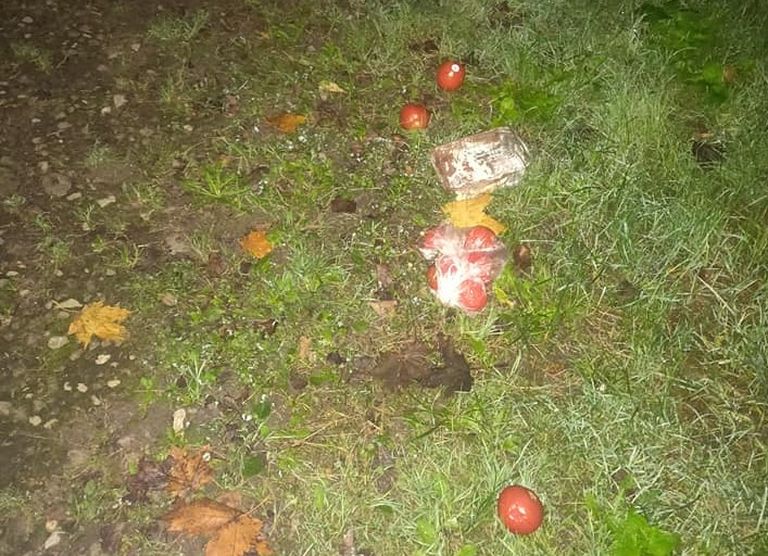 Genialistide toidukapi kallal käisid vandaalid, kes viskasid maha tomateid ja koogitüki.